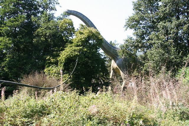 110 Saurier beim Fressen.jpg